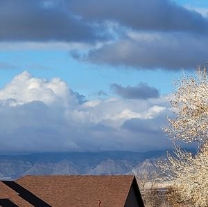 Meet your Posher, Janis